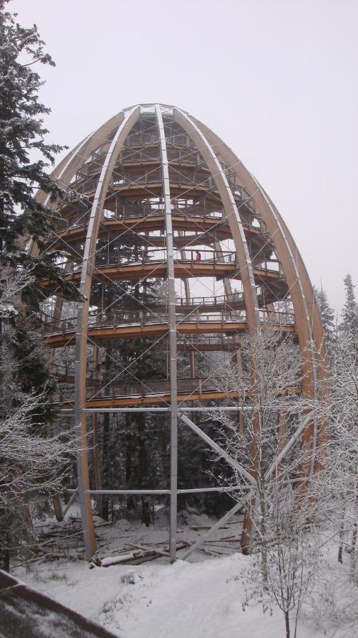 Haus Beate, Fewo Im Bienenparadies Kirchberg  Exterior foto